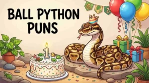 Ball python birthday celebration